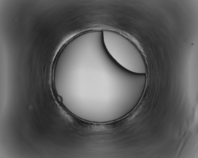 X0000086801231200704130853