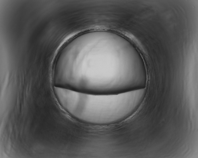 X0000086801232200704130853
