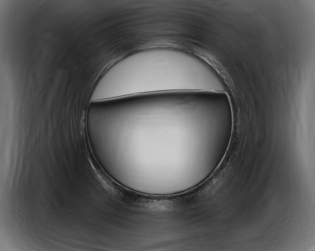 X0000086801233200704130853