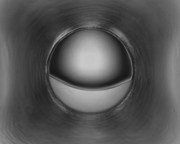 X0000086801234200704130853