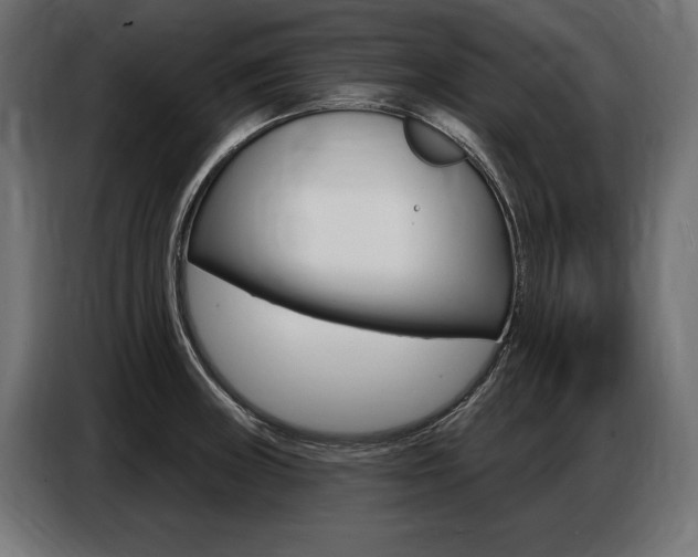 X0000086801235200704130853