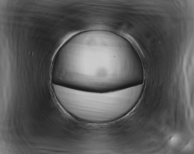 X0000086801244200704130853
