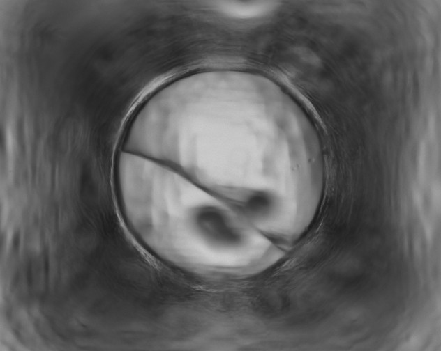 X0000086801245200704130853