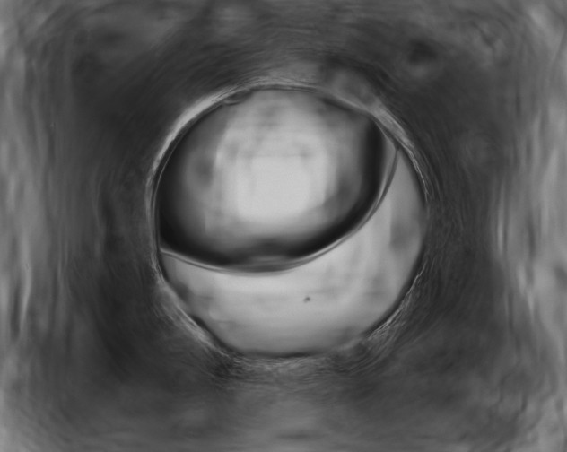 X0000086801246200704130853