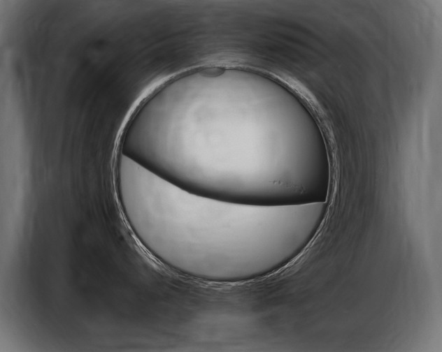 X0000086801248200704130853