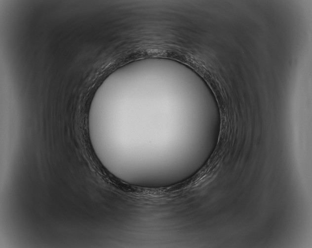 X0000086801249200704130853