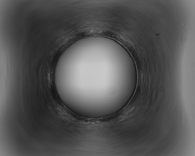 X0000086801250200704130853