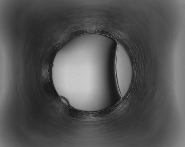 X0000086801252200704130853