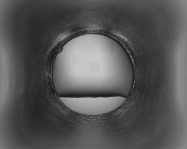 X0000086801255200704130853