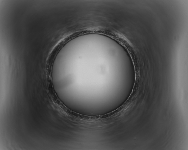 X0000086801256200704130853