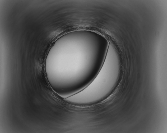 X0000086801257200704130853