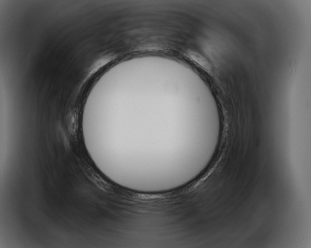 X0000086801258200704130853