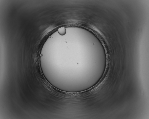 X0000086801259200704130853