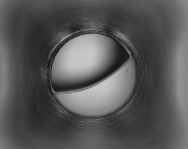 X0000086801260200704130853