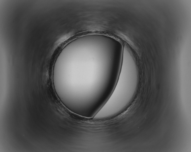 X0000086801261200704130853