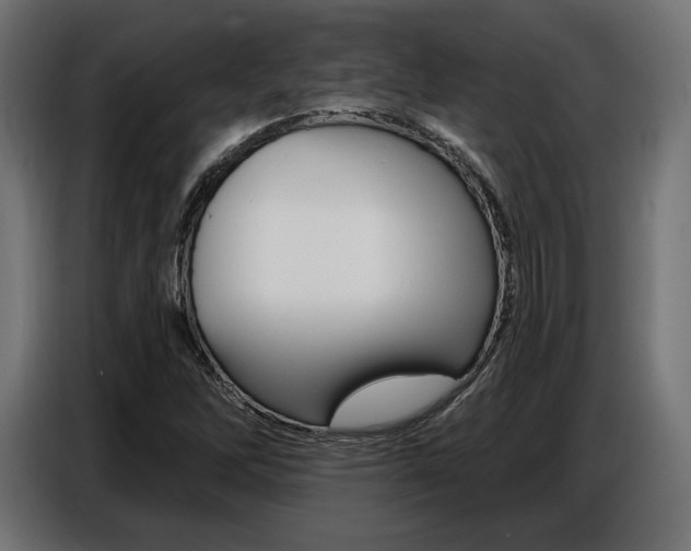 X0000086801262200704130853