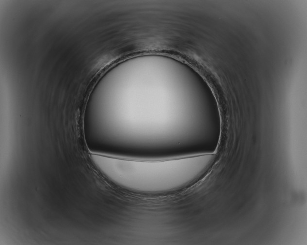 X0000086801265200704130853