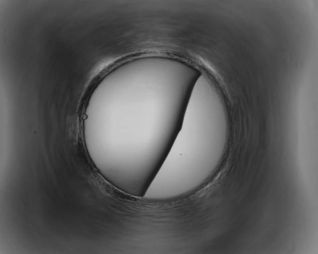 X0000086801267200704130853