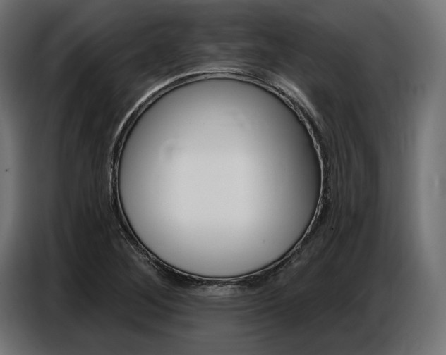 X0000086801268200704130853