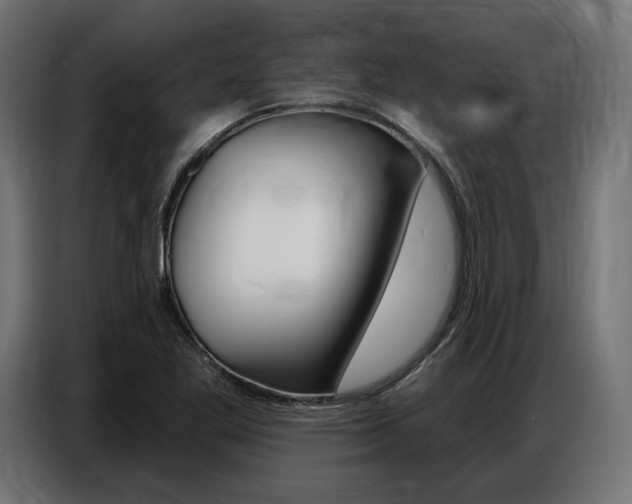 X0000086801269200704130853