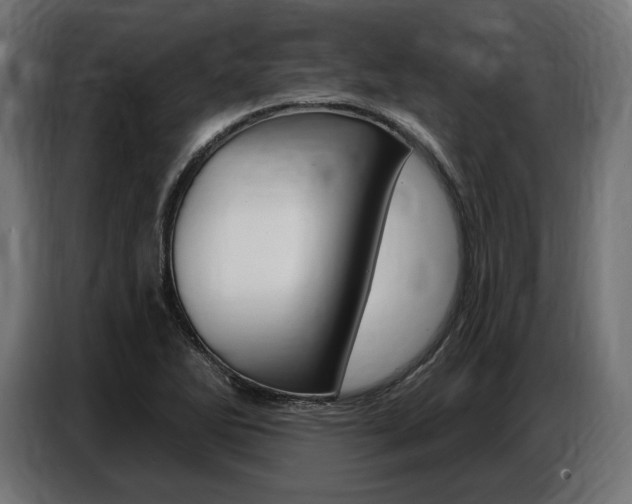 X0000086801270200704130853