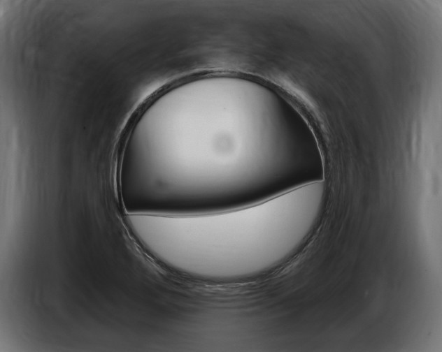 X0000086801272200704130852