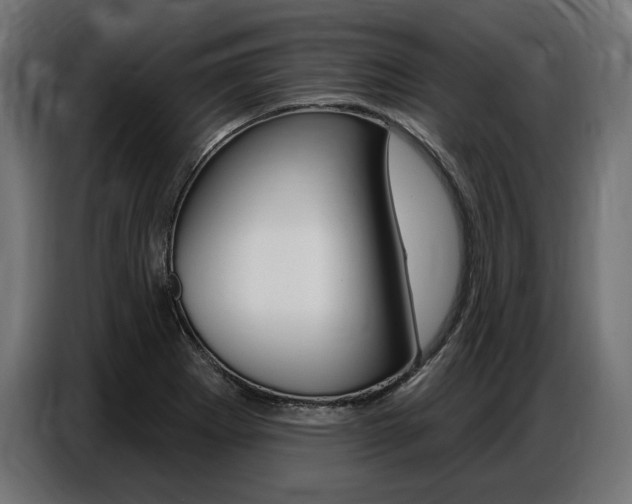 X0000086801273200704130852