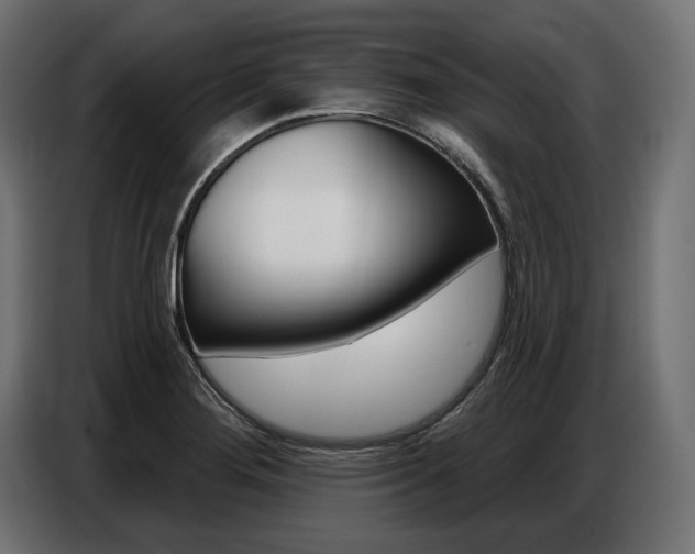 X0000086801276200704130852