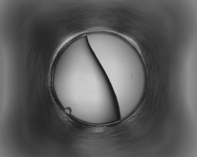 X0000086801279200704130852