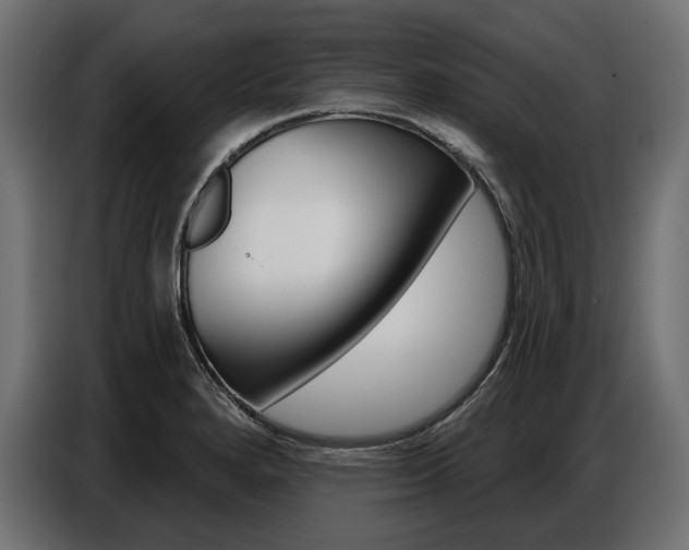 X0000086801280200704130852