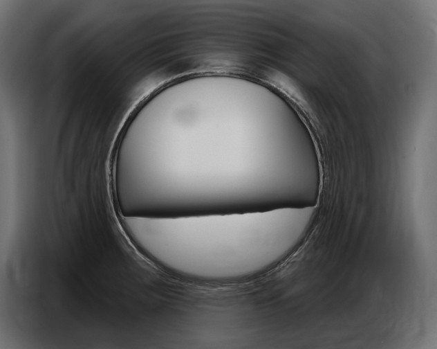 X0000086801283200704130852
