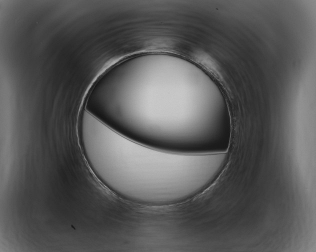 X0000086801284200704130852