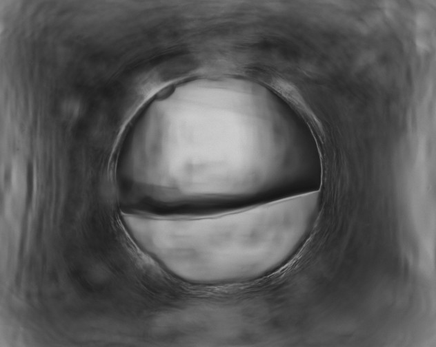 X0000086801292200704130852