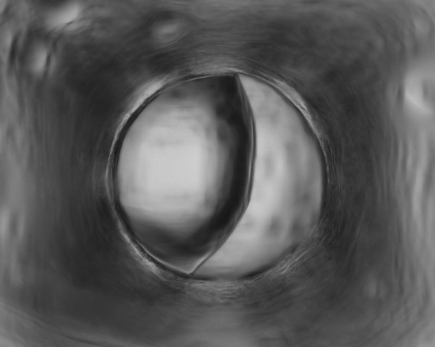 X0000086801293200704130852