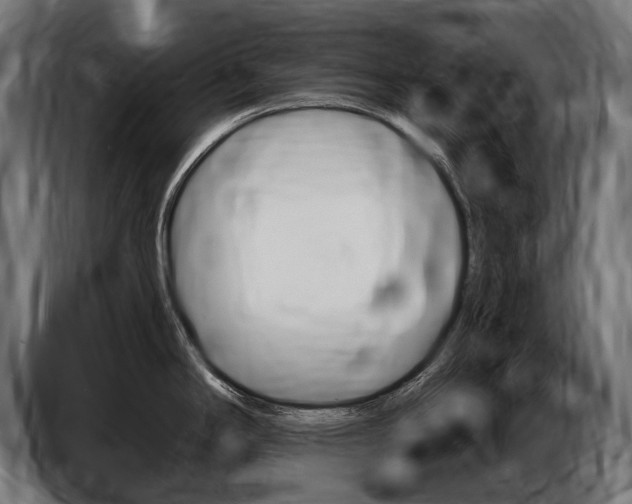 X0000086801294200704130852