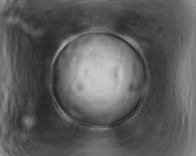 X0000086801296200704130852
