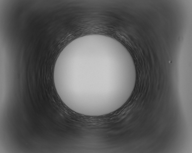 X0000086801298200704130851