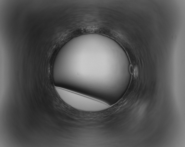 X0000086801299200704130852