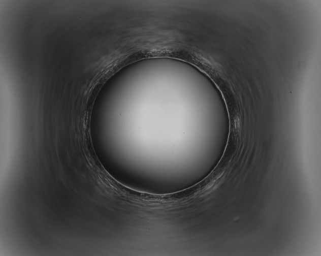 X0000086801300200704130852