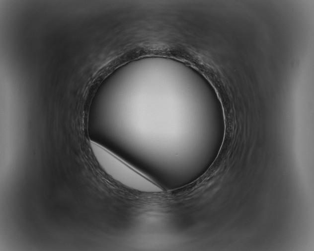 X0000086801301200704130852