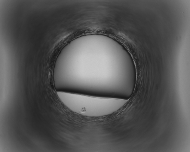 X0000086801302200704130852