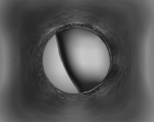 X0000086801303200704130852
