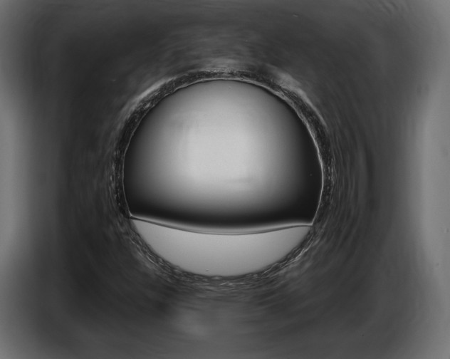 X0000086801304200704130852