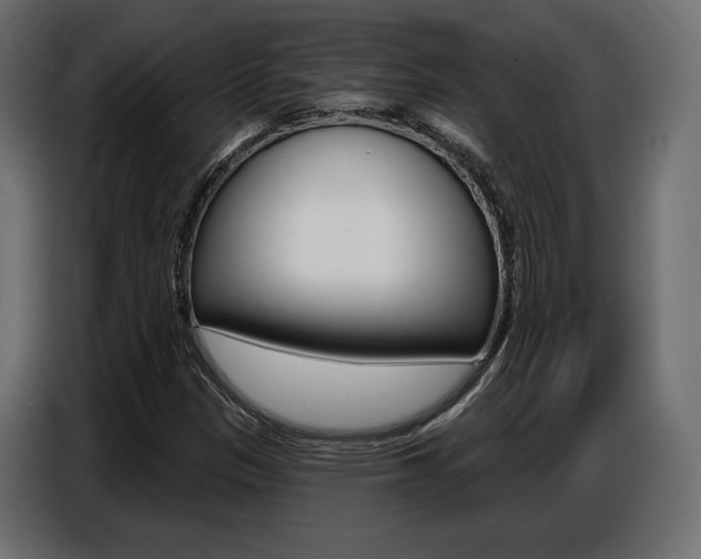 X0000086801305200704130852