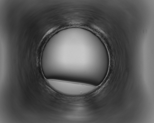 X0000086801306200704130852