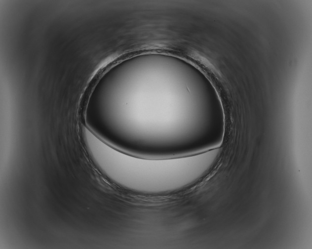 X0000086801308200704130852