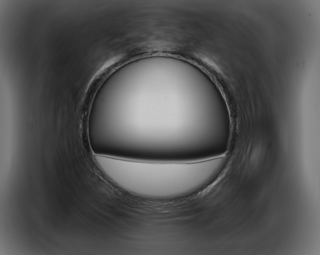 X0000086801309200704130852