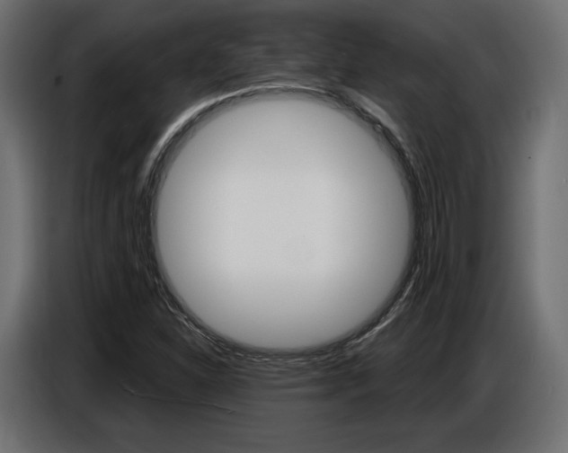 X0000086801310200704130852