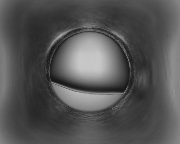 X0000086801311200704130852