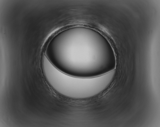 X0000086801312200704130852